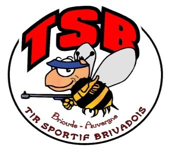 logo ligue auvergne fb1